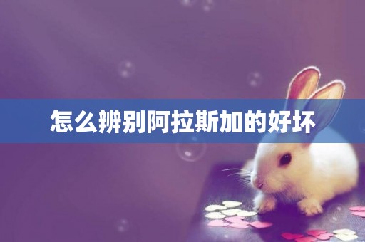 怎么辨別阿拉斯加的好壞