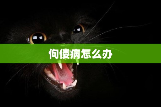 佝僂病怎么辦