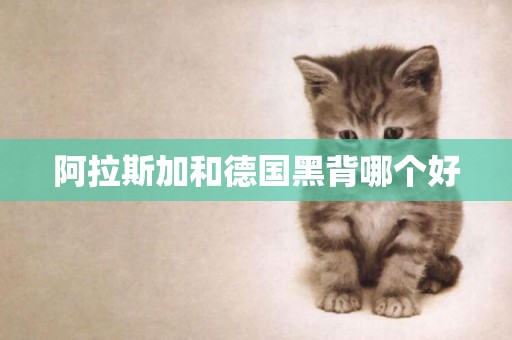 阿拉斯加和德國黑背哪個好