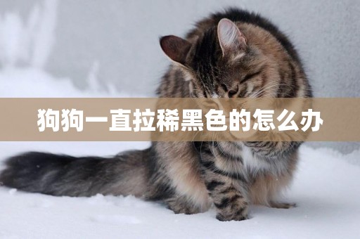 狗狗一直拉稀黑色的怎么辦