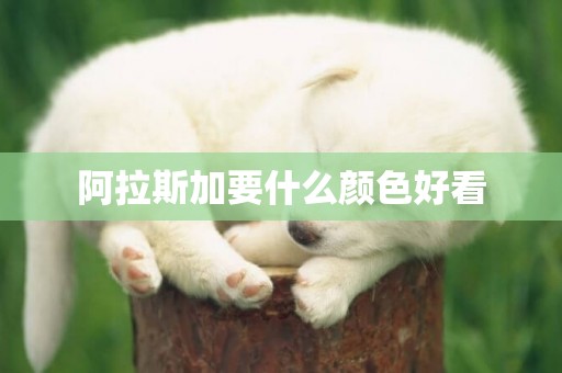 阿拉斯加要什么顏色好看