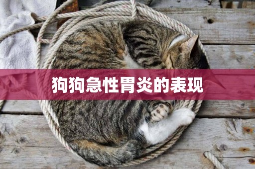 狗狗急性胃炎的表現