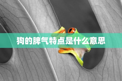 狗的脾氣特點是什么意思