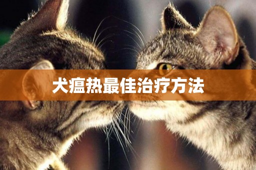 犬瘟熱最佳治療方法
