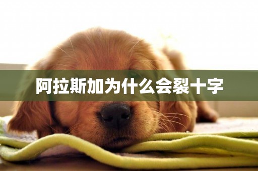 阿拉斯加為什么會裂十字