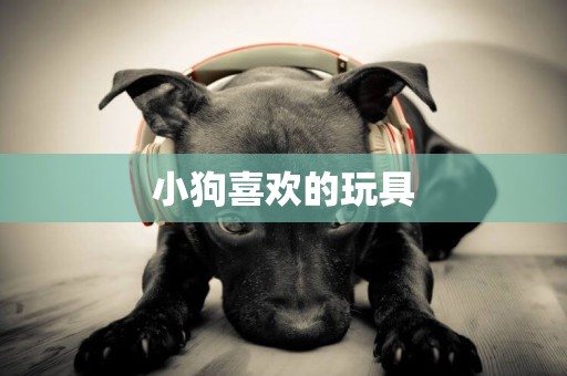 小狗喜歡的玩具