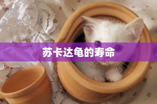 蘇卡達龜的壽命