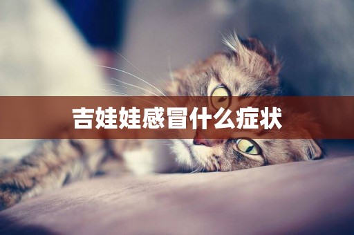 吉娃娃感冒什么癥狀