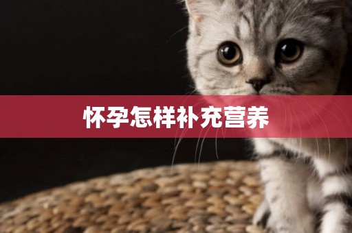懷孕怎樣補充營養