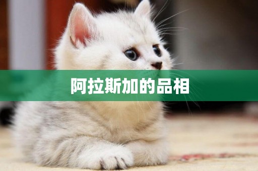 阿拉斯加的品相