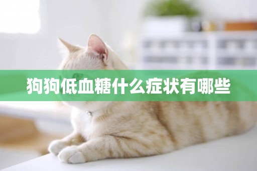 狗狗低血糖什么癥狀有哪些