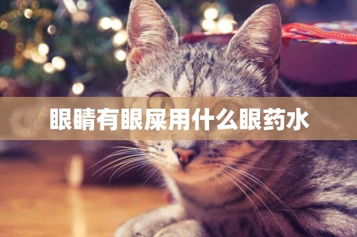 眼睛有眼屎用什么眼藥水