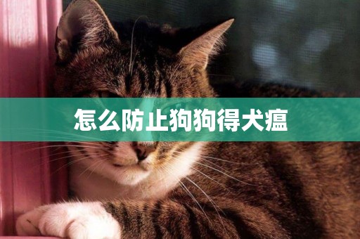 怎么防止狗狗得犬瘟