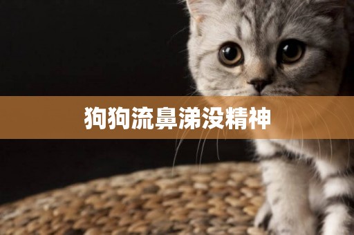 狗狗流鼻涕沒精神