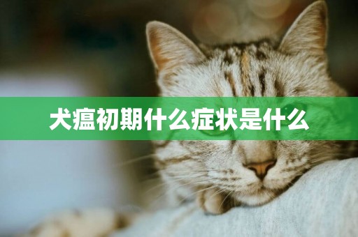 犬瘟初期什么癥狀是什么