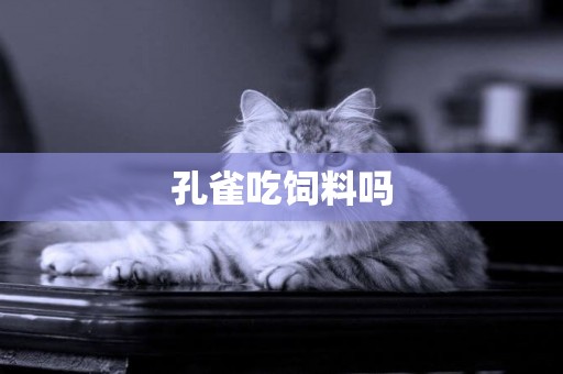 孔雀吃飼料嗎
