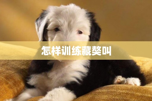 怎樣訓練藏獒叫