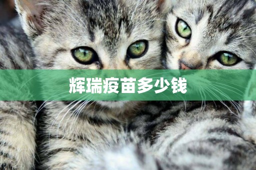 輝瑞疫苗多少錢