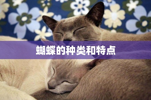 蝴蝶的種類和特點