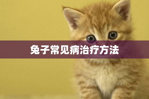 兔子常見病治療方法