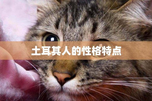 土耳其人的性格特點