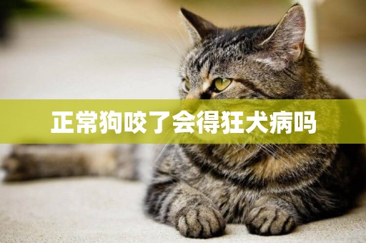 正常狗咬了會得狂犬病嗎
