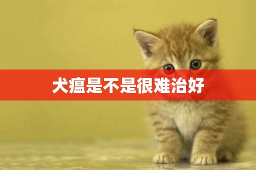 犬瘟是不是很難治好