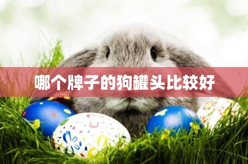 哪個牌子的狗罐頭比較好