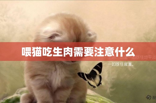 喂貓吃生肉需要注意什么