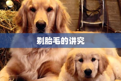 剃胎毛的講究