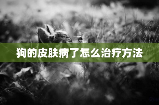 狗的皮膚病了怎么治療方法