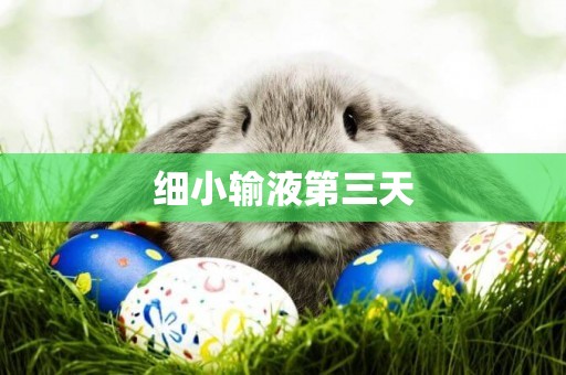 細小輸液第三天