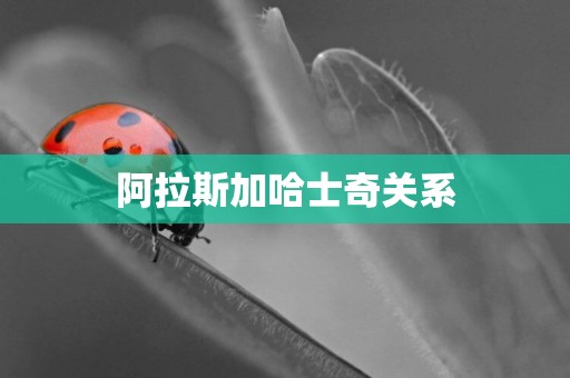 阿拉斯加哈士奇關系