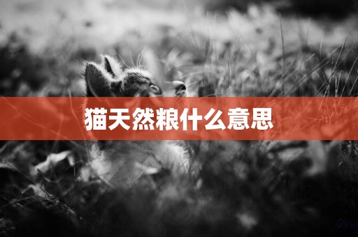 貓天然糧什么意思