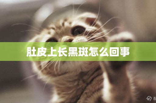 肚皮上長黑斑怎么回事