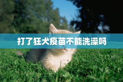 打了狂犬疫苗不能洗澡嗎