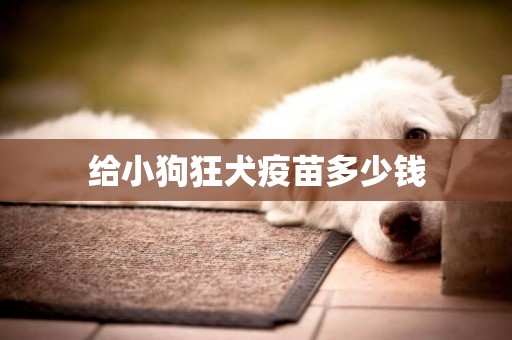 給小狗狂犬疫苗多少錢