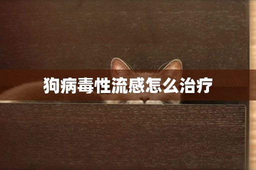 狗病毒性流感怎么治療