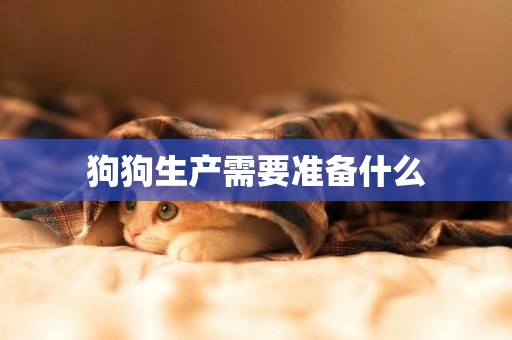 狗狗生產需要準備什么