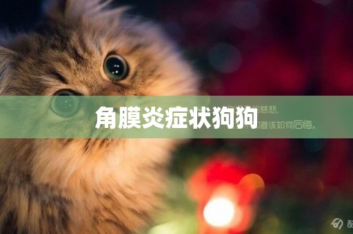 角膜炎癥狀狗狗