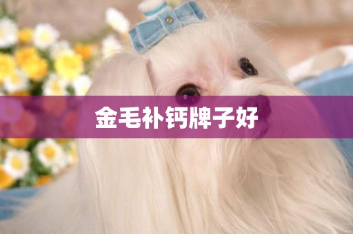 金毛補鈣牌子好