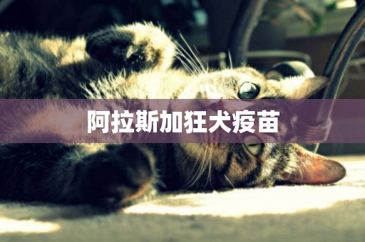 阿拉斯加狂犬疫苗