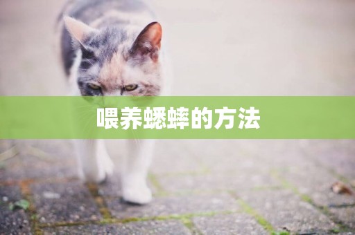 喂養蟋蟀的方法