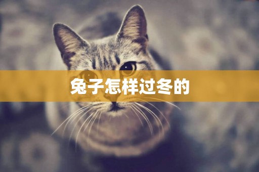 兔子怎樣過冬的