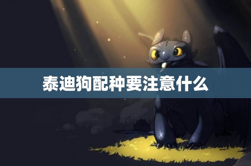 泰迪狗配種要注意什么