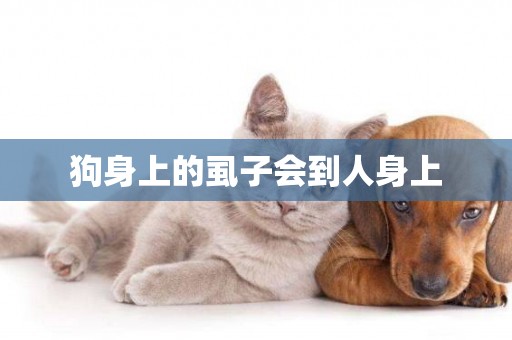 狗身上的虱子會到人身上