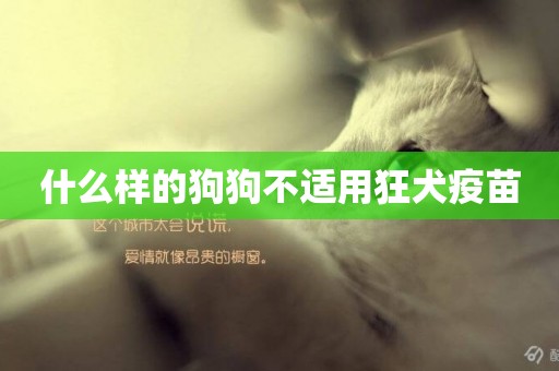 什么樣的狗狗不適用狂犬疫苗