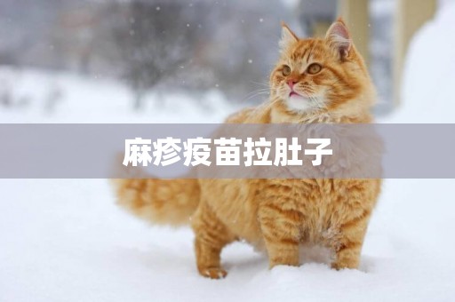 麻疹疫苗拉肚子