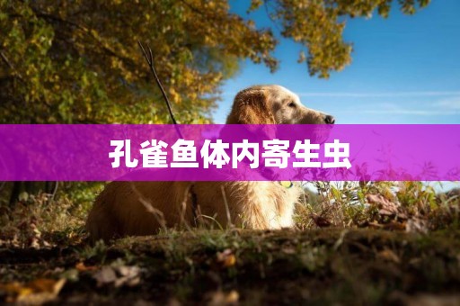 孔雀魚體內寄生蟲