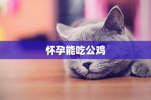 懷孕能吃公雞
